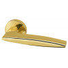 Дверная ручка Armadillo SQUID URB9 GOLD-24 золото 24К